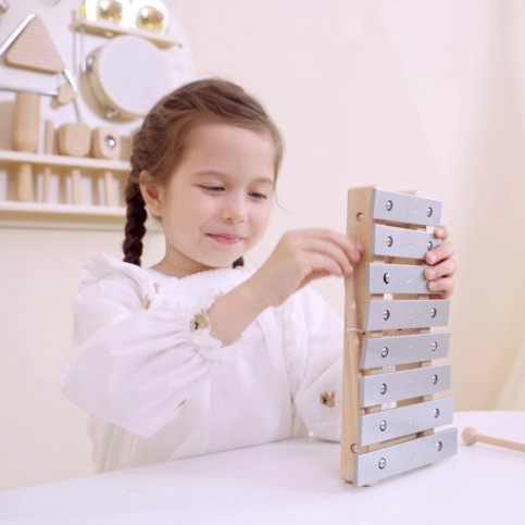 Percussion Wall Toy